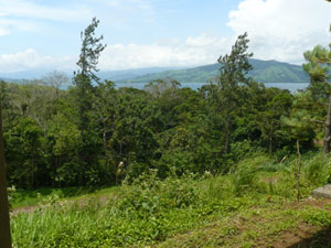 From the completed home, the park and lake are close by. 